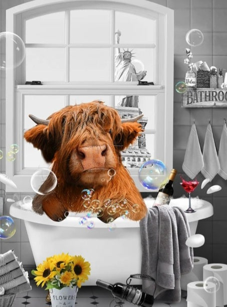 Highland cow bathroom poster