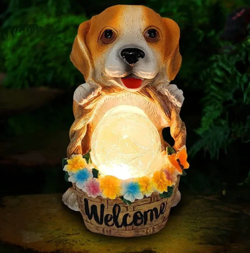Solar puppy