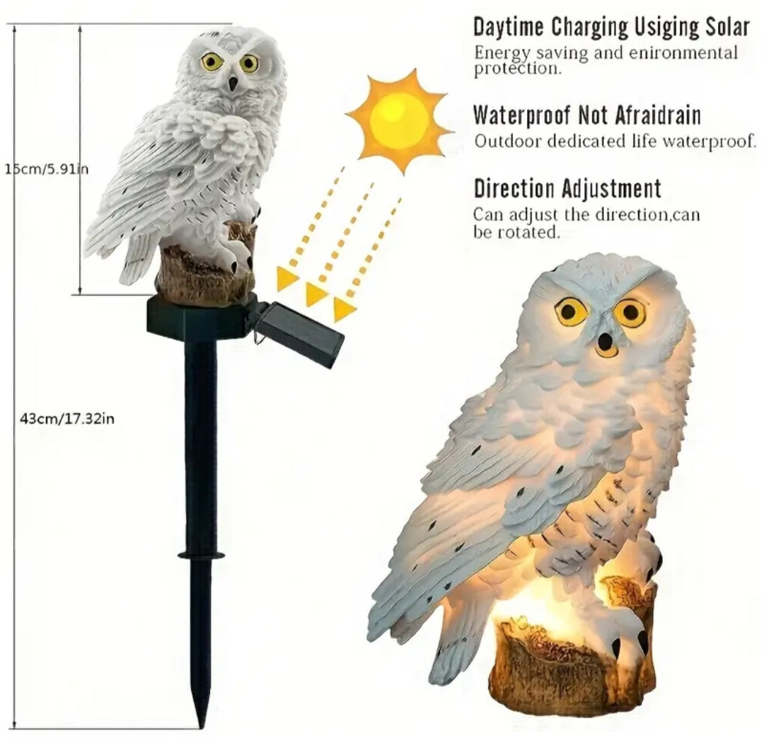 Solar Owl Light