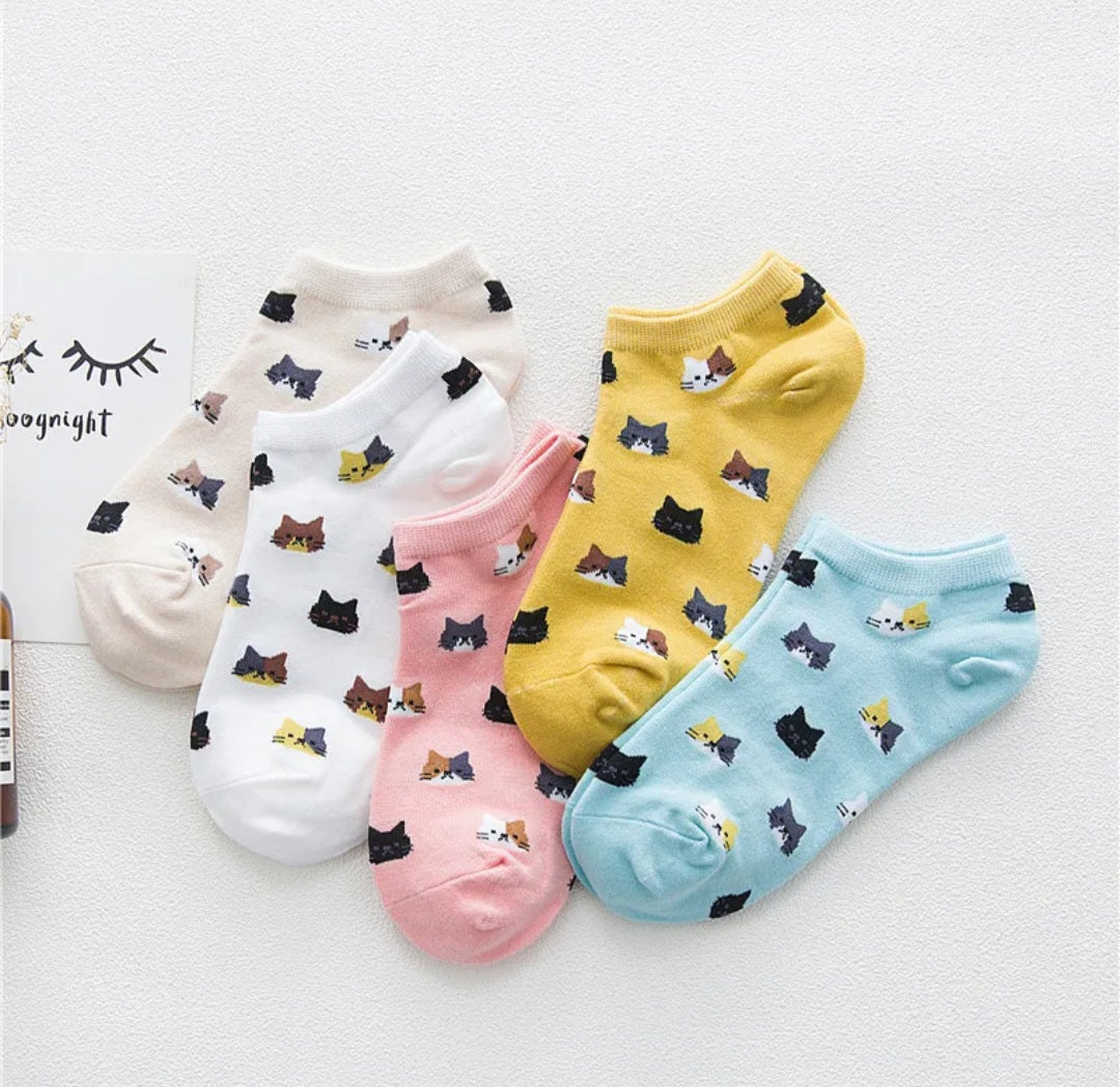 5 pairs cat print socks