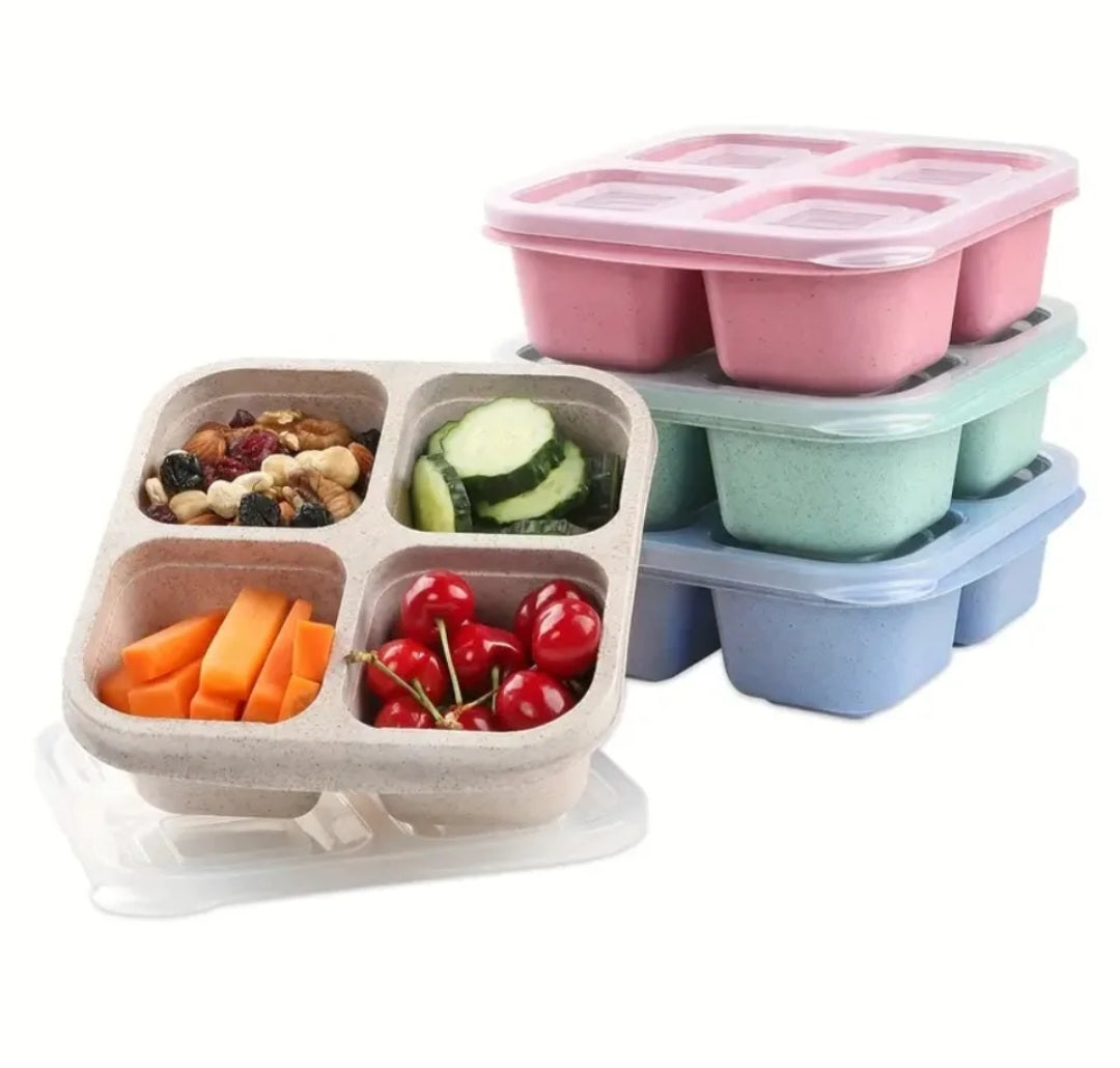 4 grid snack container with lid