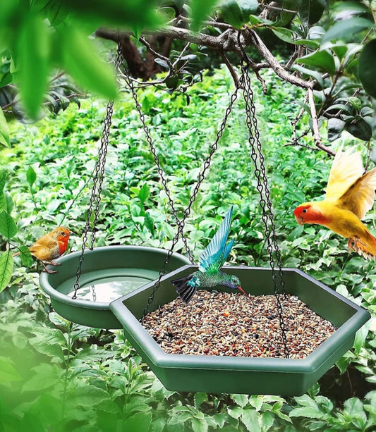 2 in 1 Bird Feeder & Bath