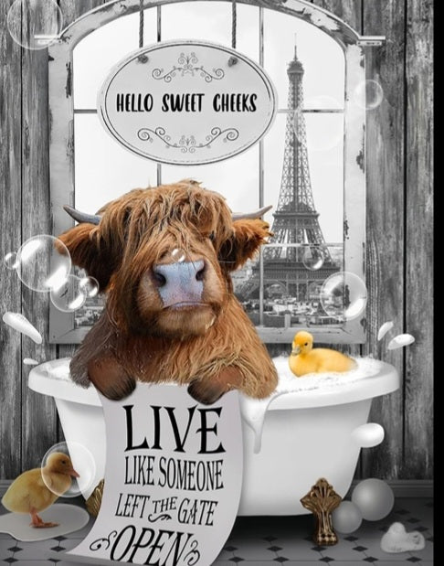 Highland cow bathroom poster