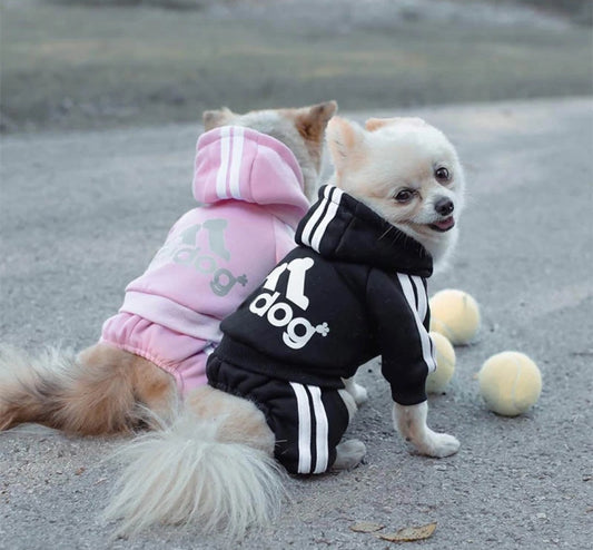 Dog hoodie