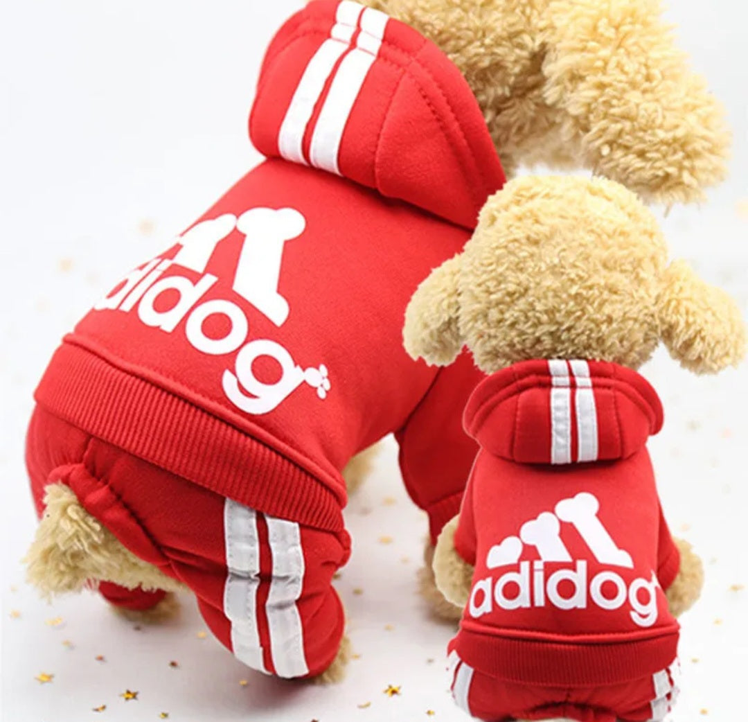 Dog hoodie