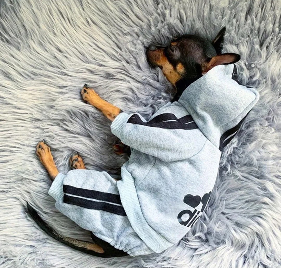 Dog hoodie