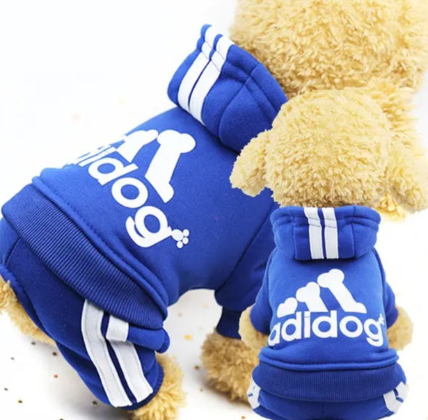 Dog hoodie