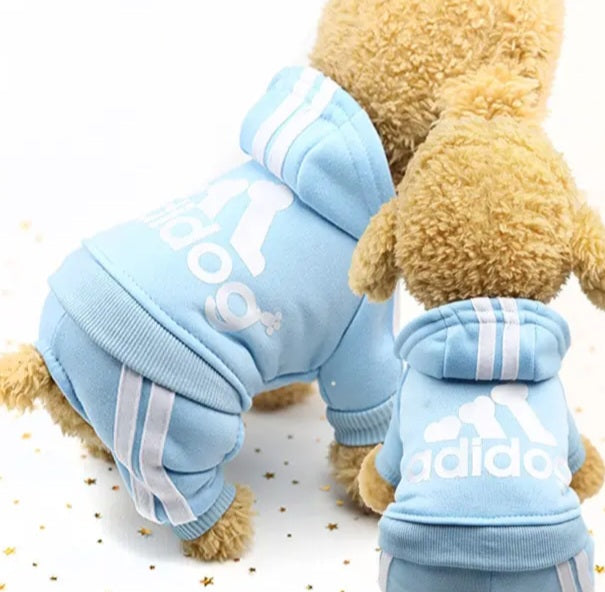 Dog hoodie