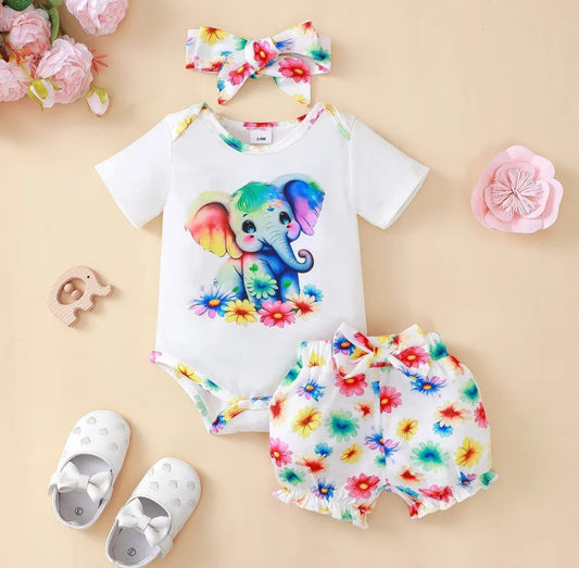 Baby girl rainbow elephant outfit