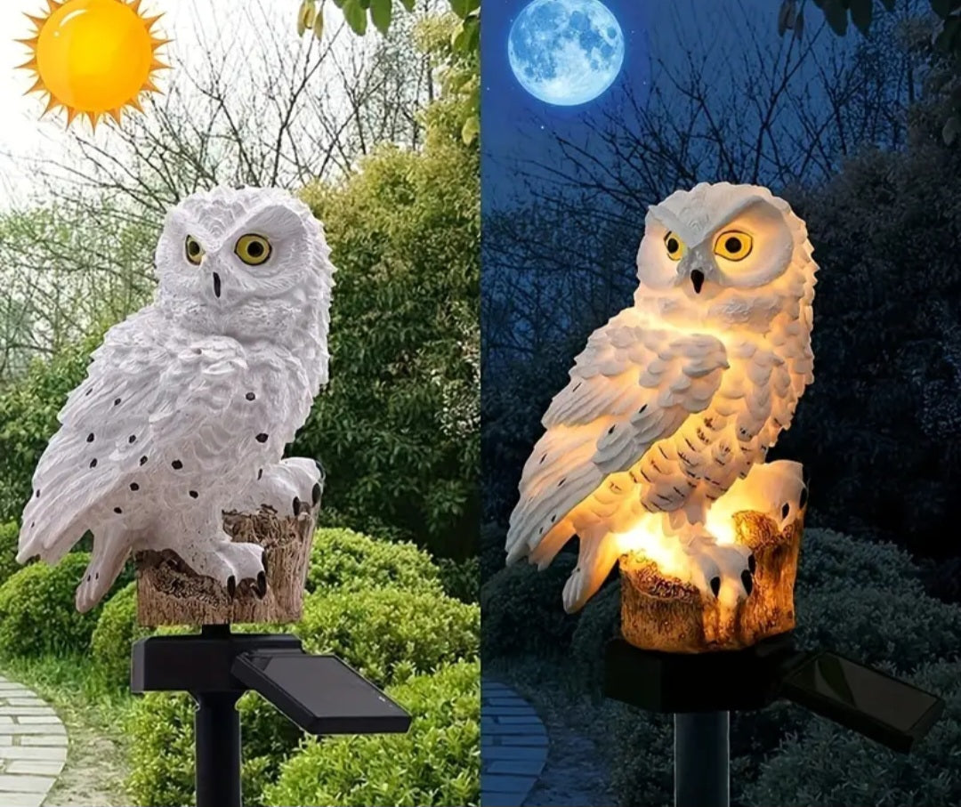 Solar Owl Light