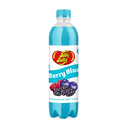 Berry Blue Fruit Drink 12x500ml