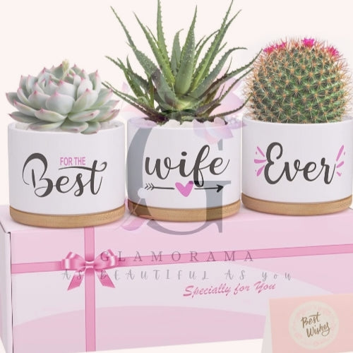 Plant pots