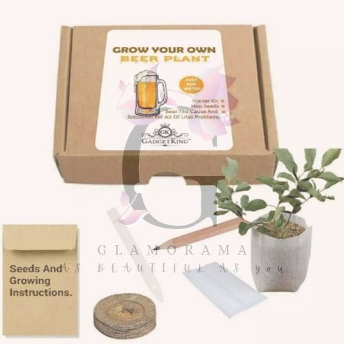 Grow your own beer plant
